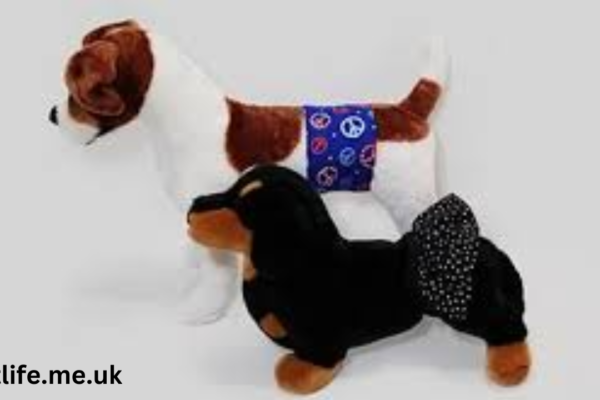 How Belly Band for Dogs Can Make House Training Easier and More Effective belly band for dogs