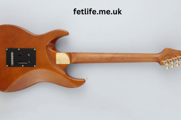 fgn electric guitar with koppman '62 pickups