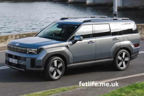 2024 hyundai santa fe - accident camera